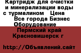 Картридж для очистки и минерализации воды с турмалином › Цена ­ 1 000 - Все города Бизнес » Оборудование   . Пермский край,Красновишерск г.